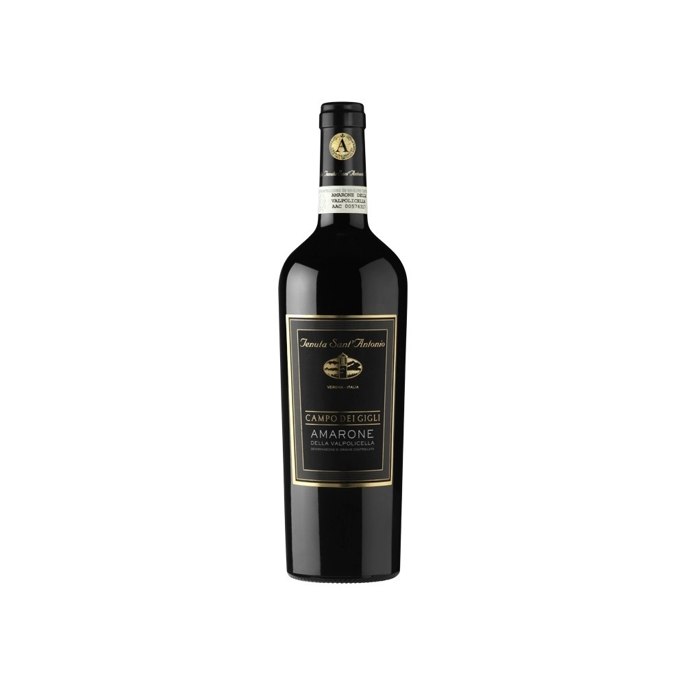 Vin Amarone ''campo Dei Gigli'' Tenuta Sant'antonio 2012 0